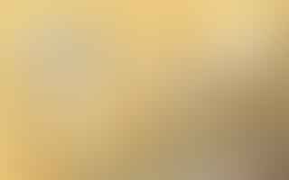 What is the history of employment laws and labor laws?